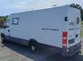 Iveco Daily Daily 35 S 14 C 3000L HD 2,3 HPT Weiß - thumbnail 7