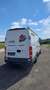 Iveco Daily Daily 35 S 14 C 3000L HD 2,3 HPT Weiß - thumbnail 3