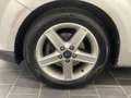 Ford Focus 1.6 TDCi 90CV 5p. Grigio - thumbnail 5