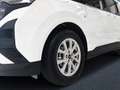 Ford Tourneo Courier Titanium KLIMA ALU Blanco - thumbnail 6