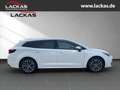 Toyota Corolla Touring Sports Hybrid TEAMPLAYER*TOP*2025* Grau - thumbnail 6