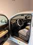 Fiat Bleu - thumbnail 9