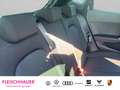 SEAT Ibiza FR Black Edition 1.0 TSI 85 kW DSG  Kessy, Winterp Schwarz - thumbnail 18