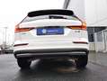 Volvo V60 Cross Country V60 Cross Country B4 D AWD Plus Licht-Paket*STDHZG Weiß - thumbnail 14