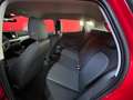 SEAT Ibiza Reference 1.0 Rot - thumbnail 7
