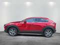 Mazda CX-30 2.5L e-SKYACTIV G 140ps Rot - thumbnail 2