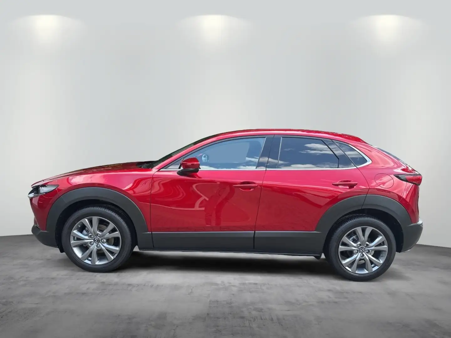 Mazda CX-30 2.5L e-SKYACTIV G 140ps Rot - 2