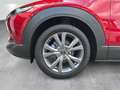 Mazda CX-30 2.5L e-SKYACTIV G 140ps Rot - thumbnail 12