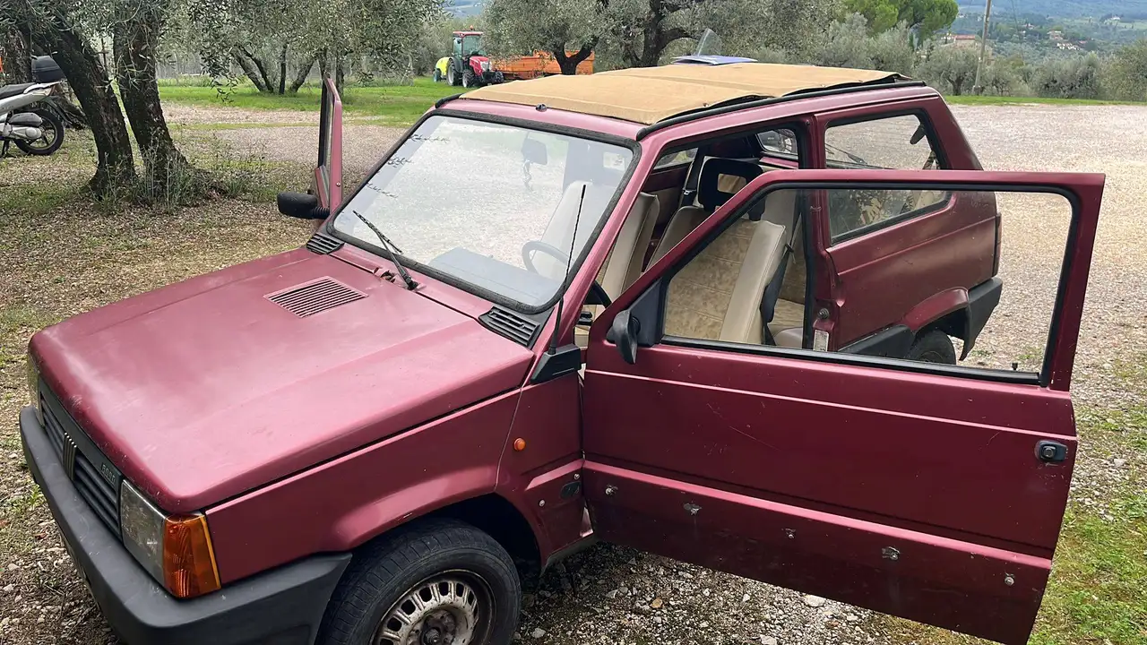 Fiat Panda 1.0 CL Davignon cat., foto 1