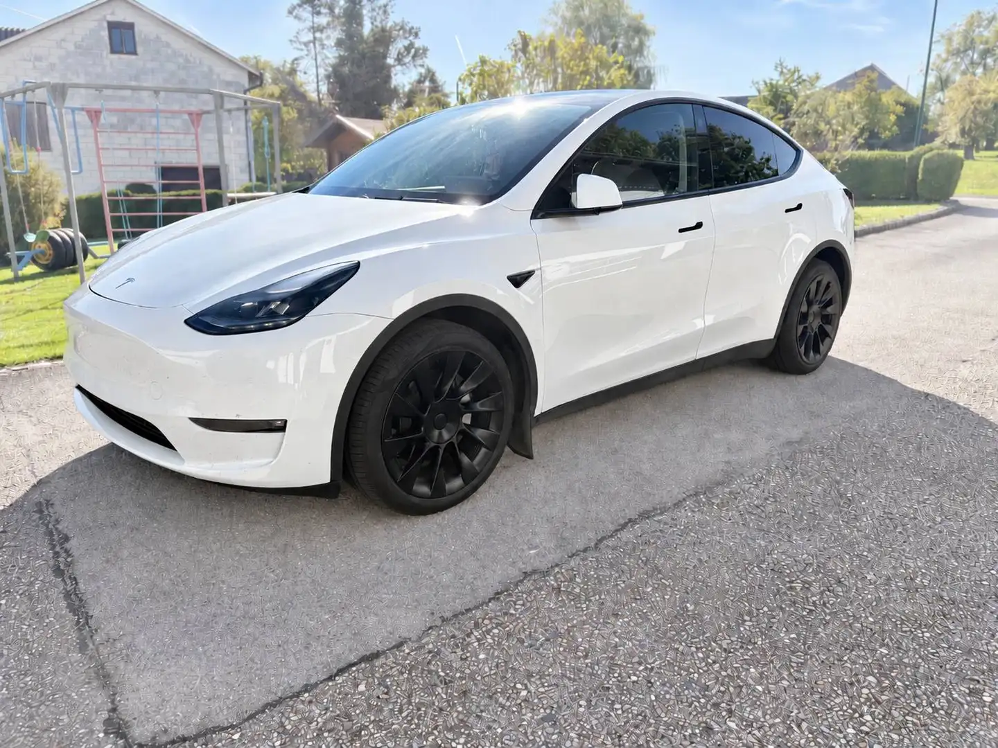 Tesla Model Y Model Y Long Range AWD 79kWh Weiß - 1