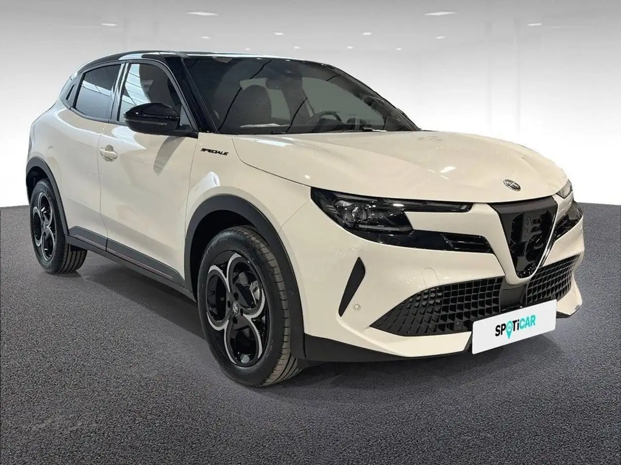 Alfa Romeo Junior 2026