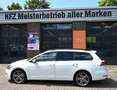 Volkswagen Golf VII Variant 2.0 TDI Highline Navi Cam AHK Weiß - thumbnail 3