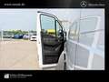 Mercedes-Benz Sprinter 317 Kasten L3H2 MBUX*Klima*Autom.*Mopf Weiß - thumbnail 3