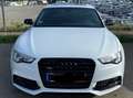 Audi A5 A5 3.0 TDI Sportback (clean die.) quat. DPF S tro. Weiß - thumbnail 7