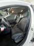 Renault Megane S.T. 1.5dCi Business 110 Weiß - thumbnail 15