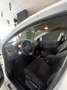 Renault Megane S.T. 1.5dCi Business 110 Weiß - thumbnail 18
