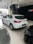 Renault Megane S.T. 1.5dCi Business 110 Weiß - thumbnail 2