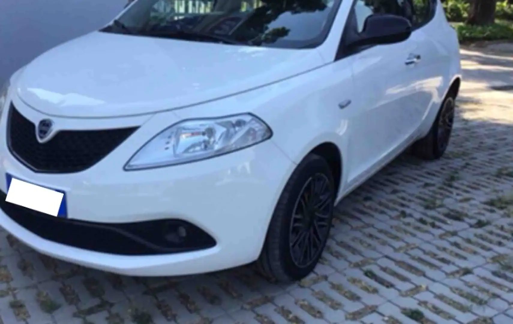 Lancia Ypsilon Ypsilon 1.0 FireFly 5 porte S&S Hybrid Ecochic Gol Білий - 2