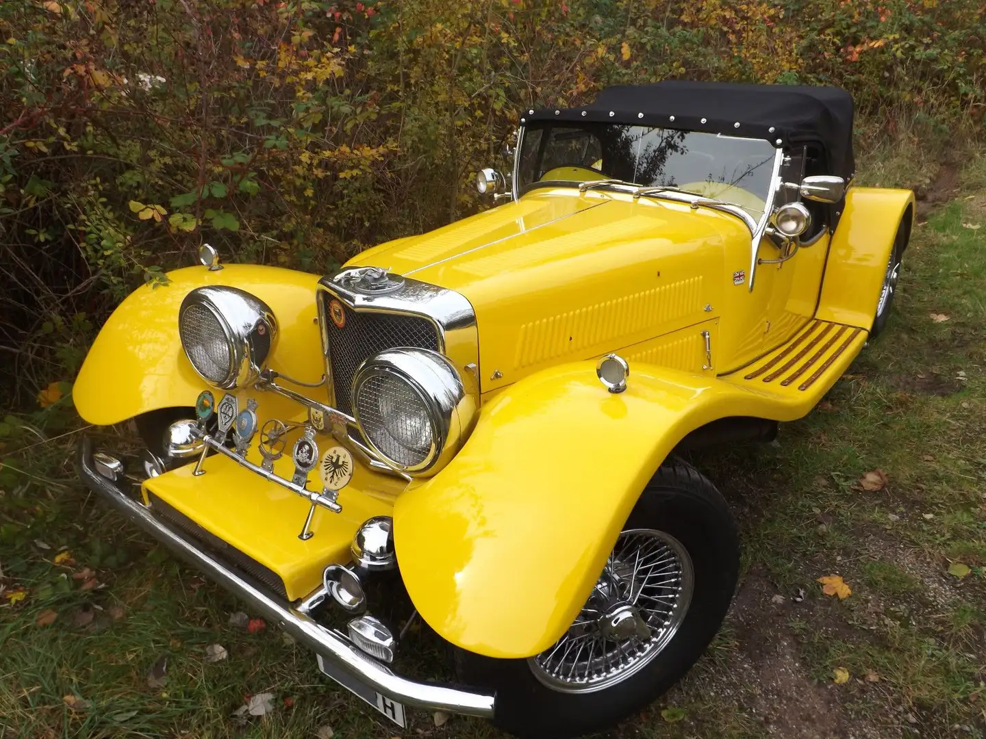 Autres Panther J 72- einmalig schön und nahezu perfekt! - 2