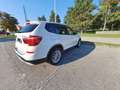 BMW X3 X3 F25 LCI 2014 sdrive18d Business auto Bianco - thumbnail 6