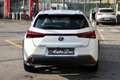 Lexus UX 250h UX 250 H Hybrid Business Weiß - thumbnail 5