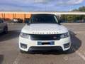 Land Rover Range Rover Sport Range Rover Sport 3.0 sdV6 SE 306cv auto my17 Bianco - thumbnail 2