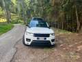 Land Rover Range Rover Sport Range Rover Sport 3.0 sdV6 SE 306cv auto my17 Bianco - thumbnail 4