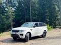 Land Rover Range Rover Sport Range Rover Sport 3.0 sdV6 SE 306cv auto my17 Bianco - thumbnail 3