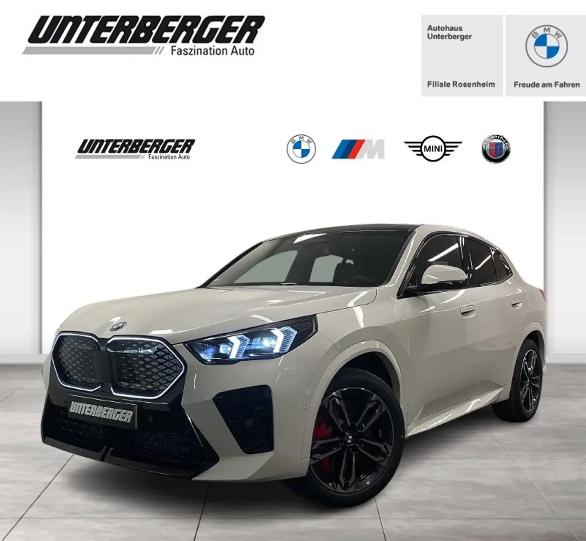 BMW iX2 xDrive30 M Sportpaket Head-Up HK HiFi DAB Weiß - 1