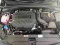 Kia XCeed 1.6D DCT7 48V Vision + Komfort-Paket - thumbnail 14