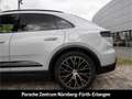 Porsche Macan 4 InnoDrive Luftfederung LED-Matrix Panoramadach Grau - thumbnail 13