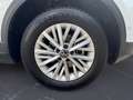 Volkswagen T-Roc Life 1.0 TSI Ganzj.R.; 2-Zonen; Seits. Abg Blanc - thumbnail 12
