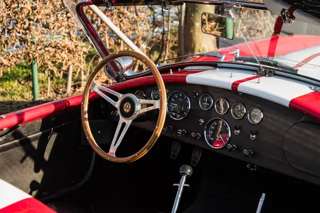 Ac Cobra view 16