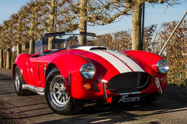 Ac Cobra view 4
