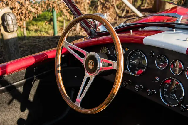 Ac Cobra view 15