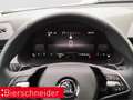 Skoda Kamiq 1.0 TSI DSG Selection LED RFK PDC Grau - thumbnail 14