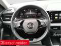 Skoda Kamiq 1.0 TSI DSG Selection LED RFK PDC Grau - thumbnail 13