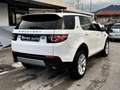 Land Rover Discovery Sport Discovery Sport I 2015 2.0 td4 HSE awd 150cv auto Bianco - thumbnail 6