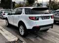 Land Rover Discovery Sport Discovery Sport I 2015 2.0 td4 HSE awd 150cv auto Bianco - thumbnail 7