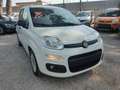 Fiat Panda 1.2 Easy CLIMA OK NEOPATENTATI .. Bianco - thumbnail 3