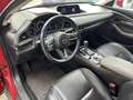 Mazda CX-30 2.0 M-Hybrid Selection - Navi - 360 Grad - 8-fach Rosso - thumbnail 7