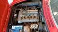 Alfa Romeo Spider Duetto 1750 coda tronca Rosso - thumbnail 12