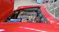 Alfa Romeo Spider Duetto 1750 coda tronca Rosso - thumbnail 13