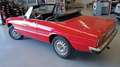 Alfa Romeo Spider Duetto 1750 coda tronca Rosso - thumbnail 7