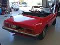Alfa Romeo Spider Duetto 1750 coda tronca Rosso - thumbnail 6