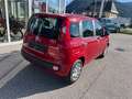 Fiat Panda *Neu*70 PS*Klima*Einparkhilfe hinten* Rot - thumbnail 6