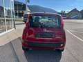 Fiat Panda *Neu*70 PS*Klima*Einparkhilfe hinten* Rot - thumbnail 5