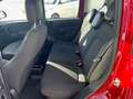 Fiat Panda *Neu*70 PS*Klima*Einparkhilfe hinten* Rot - thumbnail 9