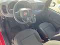 Fiat Panda *Neu*70 PS*Klima*Einparkhilfe hinten* Rot - thumbnail 12