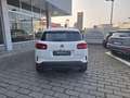 Citroen C5 Aircross 1.5 BlueHDi 130cv EAT8 SHINE Usato Garantito Weiß - thumbnail 5